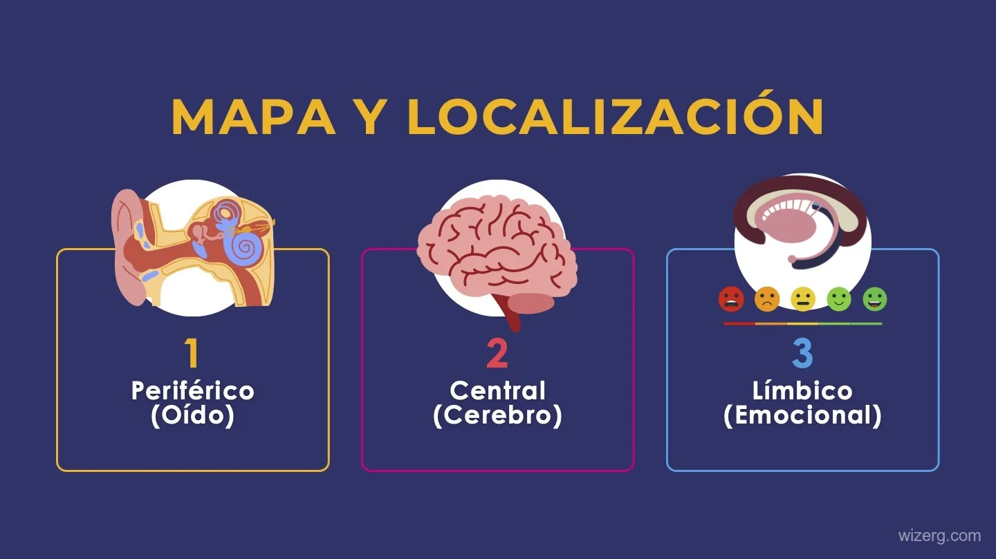Diapositiva con los tipos de tinnitus: periférico, central y límbico