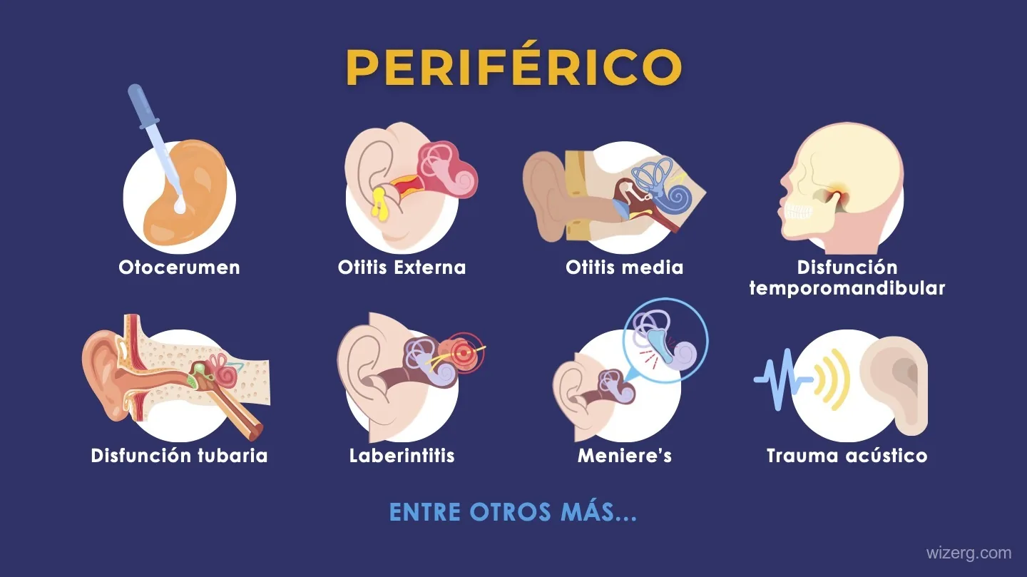 Diapositiva con las causas periféricas del tinnitus, cada una ilustrada